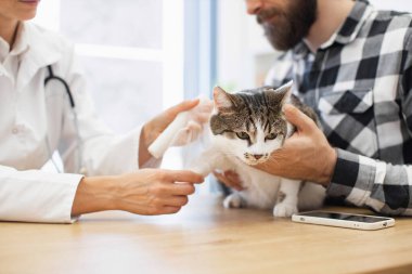 Veteriner, genç yetişkin sahibinin de yardımıyla yaralı küçük kedilere sabitleme tahtası takıyor. Sahne, tedavi sırasında tıbbi ortamda özen ve hassasiyeti gösteriyor.