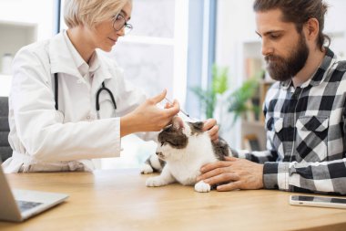 Sahne, erkek sahibinin asistanı olan veteriner kediyi gösteriyor. Hayvan bakımı sorumlu hayvan sahipliğini temsil ediyor. Hayvan sağlığı prosedürü sırasında profesyonel bakım sergileyen kadın veteriner..