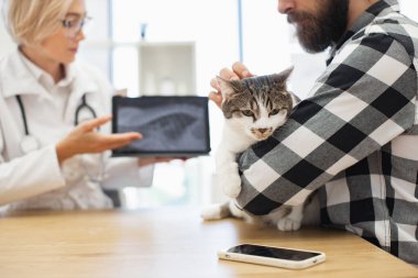 Veteriner, veteriner kliniğinde kedinin sakallı erkeğe röntgenini gösteriyor. Tekir kedi sakin görünüyor, erkek ekose giyiyor, beyaz önlüklü kadın doktor X-ışını modern veteriner ortamı tutuyor.