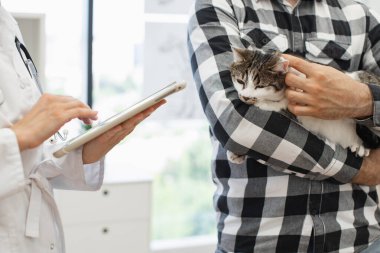 Veteriner, elinde kedi tutan adama tıbbi geçmişi ya da reçeteyi açıklamak için tablet kullanıyor. Görüntü yardım, hayvan bakımı ve gelişmiş teknolojiyle etkileşim gösteriyor