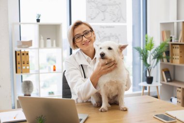 Gözlüklü kadın veteriner klinik masasında beyaz köpeği muayene ediyor. Parlak ofiste steteskop kullanan gülümseyen profesyonel çizelgeler ve bitkilerle, hayvan bakımı ve veterinerlik uzmanlığı sergiliyor..