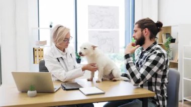 Küçük beyaz köpekli yetişkin erkek rutin kontroller için bayan veteriner muayenehanesini ziyaret ediyor. Aydınlık ofisteki masada üzerinde tıbbi posterler olan hayvan muayenesi. Etkileşim özeni gösterir.
