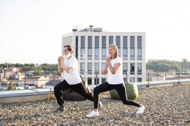 Yaşlı çift, güneşli bir sabahta çatıda yoga egzersizleri yaparak sağlık ve farkındalığı teşvik ediyorlar..