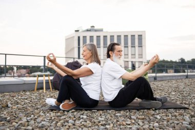 Yaşlı adam ve kadın sırt sırta oturuyorlar, meditasyon yogası, sakin bir atmosfer. Açık hava fitness, farkındalık egzersizi, sağlıklı yaşam tarzı, huzurlu akşam manzarası..