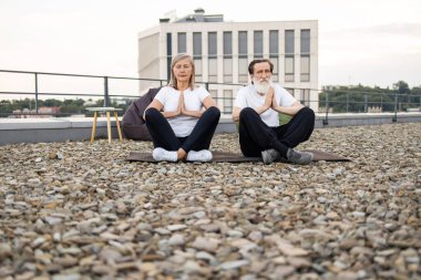 Üst düzey erkek ve kadın çatıda oturmuş dışarıda yoga egzersizleri yapıyorlardı. Meditasyon, sağlık, rahatlama ve kentsel refahı temsil eder. Mankenler gündelik giysiler içindeki yaşlı yetişkinlerdir.