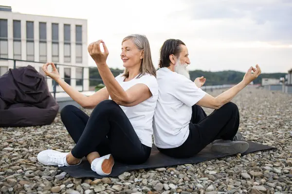 Yaşlı bir kadın çatıda oturmuş meditasyon yoga nilüfer pozu çalışıyor. Sağlıklı yaşam tarzı fitness açık hava aktiviteleri farkındalık sağIık rahatlama dengesi eşleştirilmiş egzersiz