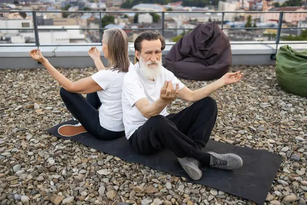 Üst düzey erkek ve kadın sırtüstü oturmuş çatıda Lotus pozunda meditasyon yapıyorlar. Farkındalık ve sağlık pratiğiyle meşgul olmak. Yaşlı yetişkinler için sağlıklı yaşam biçimi, dinlenmek için huzurlu şehir ortamı.