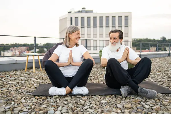 Üst düzey erkek ve kadın, şehrin çatısında yoga yapıyorlar. Yaşlılar arasında refahı, farkındalığı ve aktif yaşam tarzını teşvik eder. Yoga duruşu ile uyum, uygunluk ve arkadaşlığı gösterir..