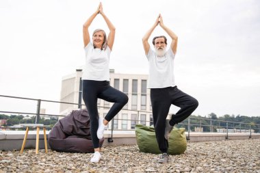 Ağaçta dengede duran yaşlı adam ve kadın yoga yaparken çatıda poz veriyorlar..