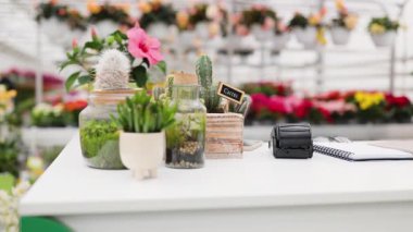 Çekici bir çiçekçi dükkanı içinde kaktüs aranjmanları ve çeşitli çiçeklerle dolu bir masa sergileniyor..