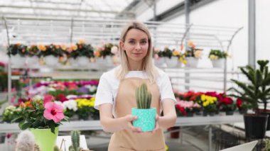 Gülümseyen bir çiçekçi dükkanında renkli çiçekler ve bitkilerle çevrili bir kaktüs tutuyor..