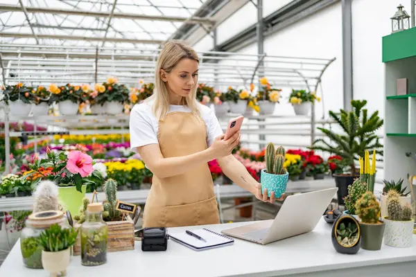 Bir çiçekçi, dükkanında akıllı telefon ve dizüstü bilgisayar kullanarak çalışırken kaktüsün fotoğrafını çekiyor..