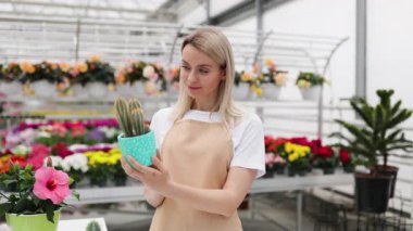 Beyaz bir kadın çiçekçi çiçeklerle dolu bir dükkanda kaktüs tutarken gülümsüyor..