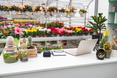 Modern bir çiçekçi dükkanında tezgahında dizüstü bilgisayarı olan çeşitli çiçek ve bitkiler sergileniyor. İş iyi organize edilmiş ve davetkar..