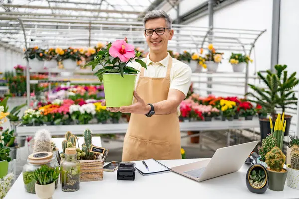 Önlüklü beyaz bir çiçekçi gülümsüyor ve arka planda bir çok bitkiyle birlikte bir dükkanda saksı çiçeği sunuyor..