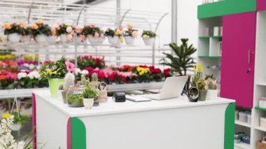 Modern bir çiçekçi dükkanında tezgahında dizüstü bilgisayarı olan çeşitli çiçek ve bitkiler sergileniyor. İş iyi organize edilmiş ve davetkar..