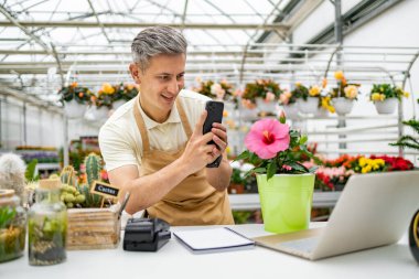 Kafkasyalı bir çiçekçi dükkanında başka bitkilerle çevrili bir telefonla pembe bir amber çiçeğinin fotoğrafını çekiyor..