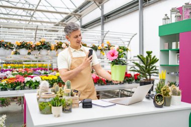 Kafkasyalı bir çiçekçi dükkanında satılık canlı bir amber çiçeğinin fotoğrafını çekiyor. Çeşitli bitkiler sergileniyor.