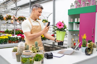 Kafkasyalı bir çiçekçi, parlak bir çiçekçide telefonuyla canlı yeşil bir saksıda pembe bir amber bitkisinin fotoğrafını çekiyor..