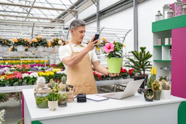 Beyaz bir çiçekçi bir saksı bitkisinin fotoğrafını çekiyor. Çiçeklerle dolu parlak bir dükkanda çiçek sergiliyor..