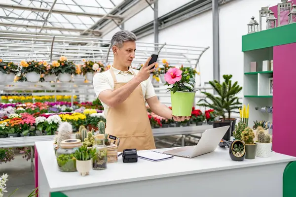 Beyaz bir çiçekçi bir saksı bitkisinin fotoğrafını çekiyor. Çiçeklerle dolu parlak bir dükkanda çiçek sergiliyor..