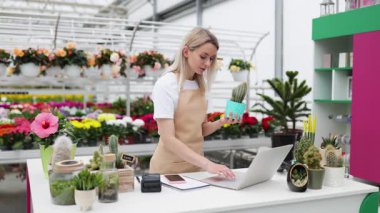 Bir çiçekçi, dükkanında akıllı telefon ve dizüstü bilgisayar kullanarak çalışırken kaktüsün fotoğrafını çekiyor..