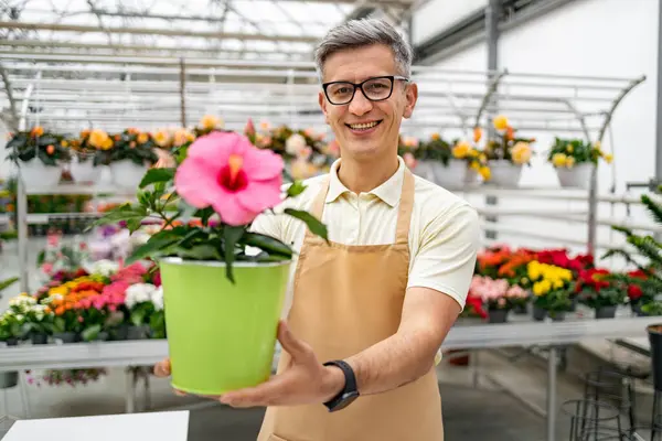 Çiçekçi dükkanındaki beyaz bir adam çiçeklerle çevrili bir çiçek saksısı sunuyor..