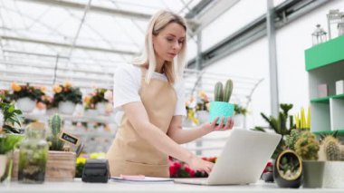 Gülümseyen bir çiçekçi dükkanında kaktüs resmi çeker ve satılık bitkilerin çeşitliliğini gösterir..