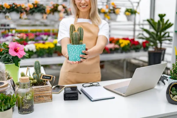 Gülümseyen bir çiçekçi dükkanında renkli çiçekler ve bitkilerle çevrili bir kaktüs tutuyor..