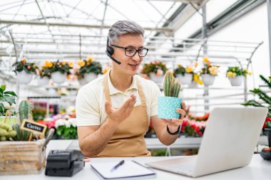 Çiçekçide beyaz bir adam elinde kaktüs saksısı tutarken dizüstü bilgisayar kullanıyor. Muhtemelen bir video satışı sırasında..