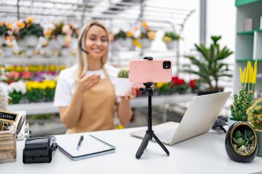 Kafkasyalı bir çiçekçi dükkanından canlı yayın yapıyor. Bitki koleksiyonundan bir kaktüs satıyor..