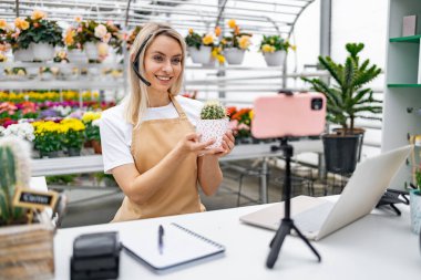 Çiçekçide beyaz bir kadın bir satış etkinliği için kaktüs sunuyor, canlı yayında ya da kayıtta..