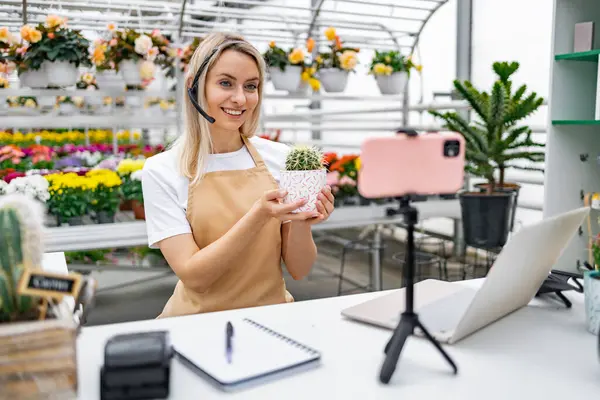 Çiçekçide beyaz bir kadın bir satış etkinliği için kaktüs sunuyor, canlı yayında ya da kayıtta..