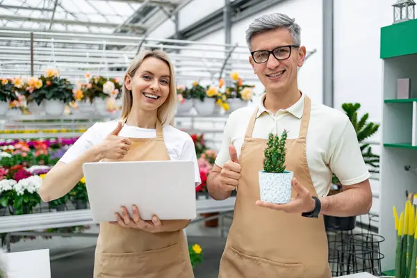 Dizüstü bilgisayarı ve saksı bitkisi olan mutlu çiçekçiler, bir sürü çiçekle dükkanda onaylarını veriyorlar..