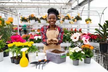 Etrafı çeşitli bitki ve çiçeklerle çevrili gülen bir çiçekçi bir dükkanda bahçeyle uğraşıyor..