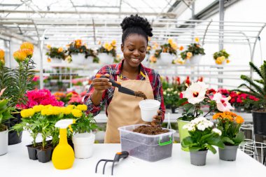 Gülümseyen bir çiçekçi, çiçeklerini yeniden dikiyor. Parlak, iyi stoklanmış bir çiçekçi dükkanında. Bahçe işlerinin keyfini çıkarıyor..
