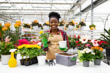 Ekose gömlek ve önlük giyen bir çiçekçi, parlak bir seraya çiçek dikerken gülümsüyor..