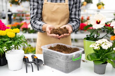Bir bahçıvan elinde toprağı tutar, çeşitli saksı çiçekleriyle çevrili olarak ekmeye hazırdır..
