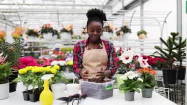 Etrafı çeşitli bitki ve çiçeklerle çevrili gülen bir çiçekçi bir dükkanda bahçeyle uğraşıyor..