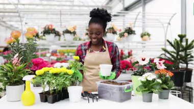 Ekose gömlek ve önlük giyen bir çiçekçi, parlak bir seraya çiçek dikerken gülümsüyor..