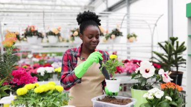 Gülümseyen bir çiçekçi çiçekleri parlak, renkli bir çiçekçiye yerleştirir. Bahçıvanlık tekniklerini gösterir..