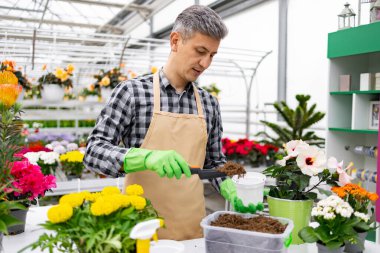 Önlük ve eldiven takan bir adam, seranın içine çiçekler yerleştiriyor, çeşitli bitkilerle çevrili..