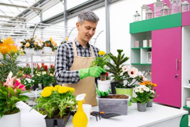 Önlük ve eldiven takan bir bahçıvan, çeşitli bitkilerle çevrili bir serada sarı bir çiçek nakleder..