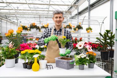 Gülümseyen bir bahçıvan, çeşitli saksı bitkileriyle çevrili, parlak bir serada çiçeklerle ilgilenir..