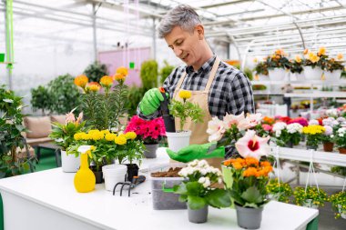 Parlak, davetkar bir serada çiçeklerle ilgilenen, eldiven ve önlük giyen bir adam..