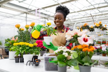 Afro-Amerikalı bir kadın bir serada bitki yetiştiriyor, gülümsüyor ve çeşitli renkli çiçeklerle ilgileniyor..