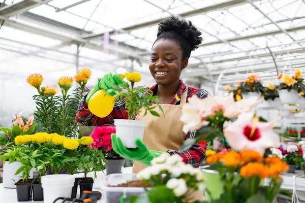Gülümseyen bir Afrikalı Amerikalı kadın, renkli çiçeklerle çevrili bir serada bitki yetiştiriyor ve bahçe işlerine olan tutkusunu sergiliyor..