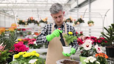 Gülümseyen bir bahçıvan, çeşitli saksı bitkileriyle çevrili, parlak bir serada çiçeklerle ilgilenir..
