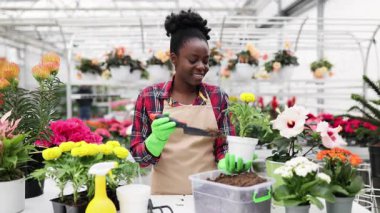 Gülümseyen bir çiçekçi çiçekleri parlak, renkli bir çiçekçiye yerleştirir. Bahçıvanlık tekniklerini gösterir..