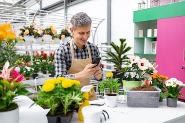 Çiçek ve bitkilerle çevrili bir bitki dükkanında ya da serada akıllı telefon kullanan önlüklü bir çiçekçi..